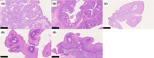 Details are in the caption following the image Details are in the caption following the image