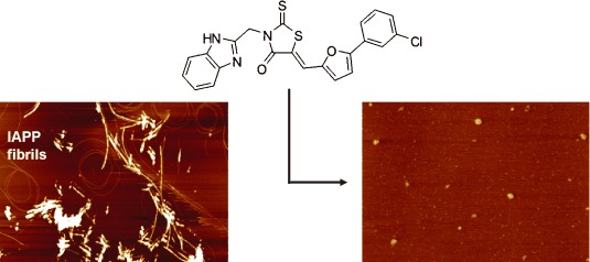 Small-Molecule Inhibitors of Islet Amyloid Polypeptide Fibril Formation