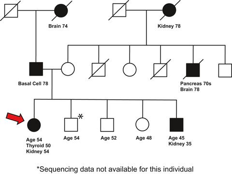 Interaction of germline variants in a family with a history of early-onset clear cell renal cell carcinoma