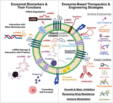 Exosome-Based Theranostic for Gastrointestinal Cancer: Advances in Biomarker Discovery and Therapeutic Engineering