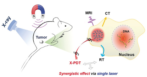 CT/MRI-Guided Synergistic Radiotherapy and X-ray Inducible Photodynamic Therapy Using Tb-Doped Gd-W-Nanoscintillators