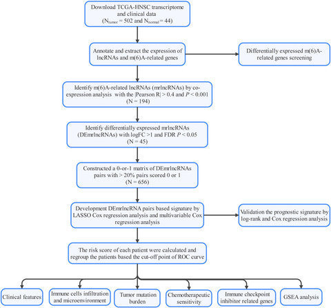 Construction of an m6A-related lncRNA pair prognostic signature and prediction of the immune landscape in head and neck squamous cell carcinoma