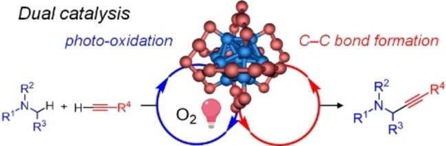 Dual Catalysis of Gold Nanoclusters: Photocatalytic Cross-Dehydrogenative Coupling by Cooperation of Superatomic Core and Molecularly Modified Staples**
