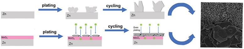 Zincophile Zn2+ Conductor Regulation by Ultrathin Nano MoO3 Coating for Dendrite-Free Zn Anode