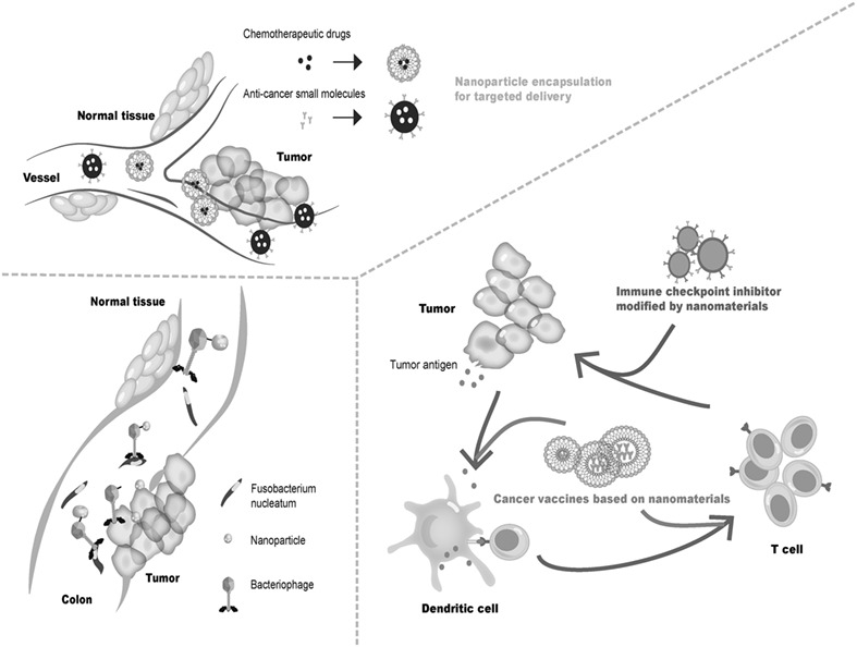 Research advances in nanomedicine applied to the systemic treatment of colorectal cancer