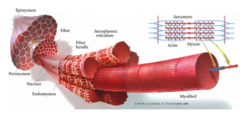 Details are in the caption following the image