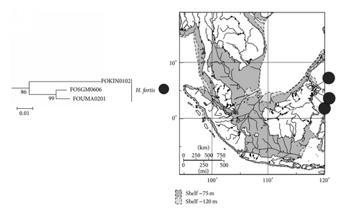 Details are in the caption following the image