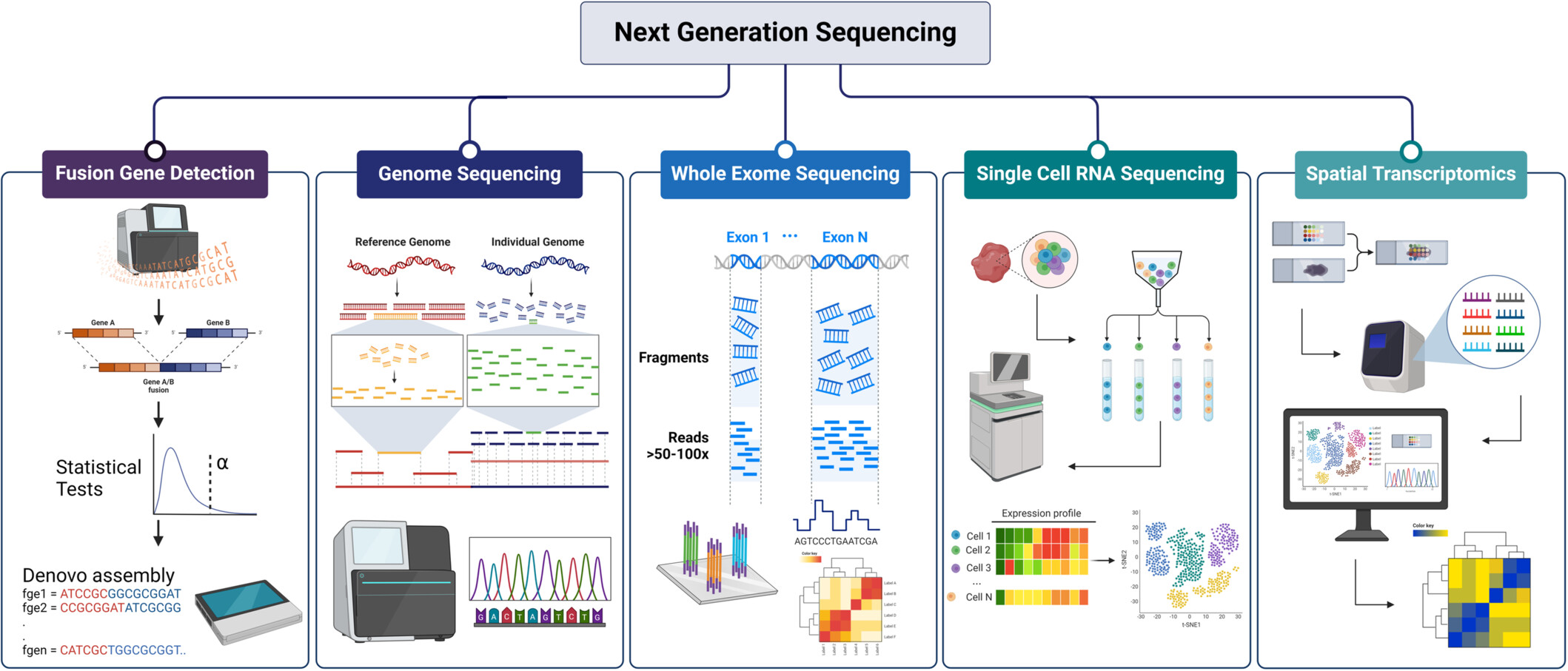 Role of next-generation sequencing in revolutionizing healthcare for cancer management Issue 4, 2024