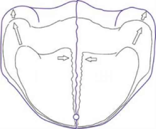 Details are in the caption following the image Details are in the caption following the image