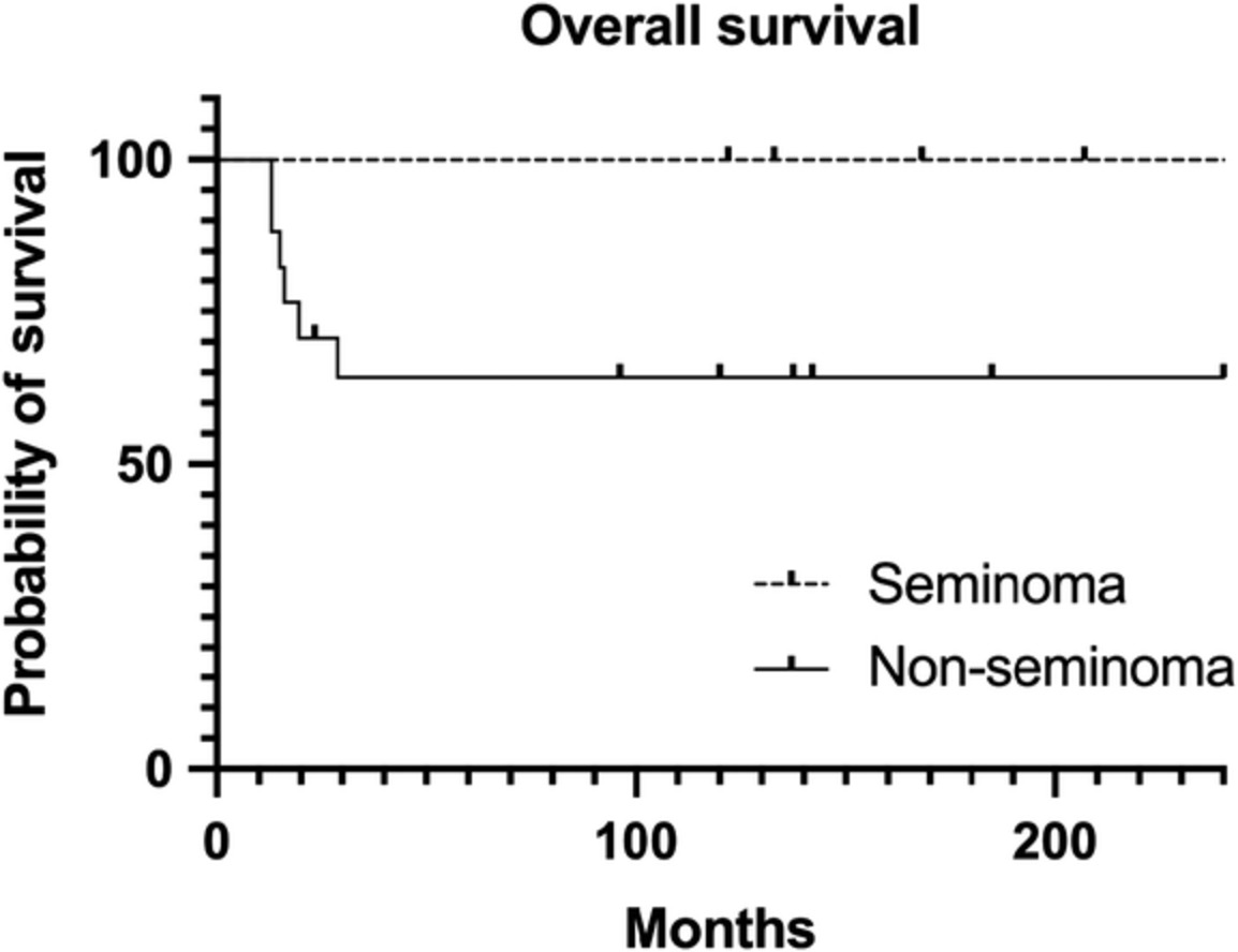 Primary mediastinal germ cell tumors - A retrospective analysis of >30 years of experience in a single institution
