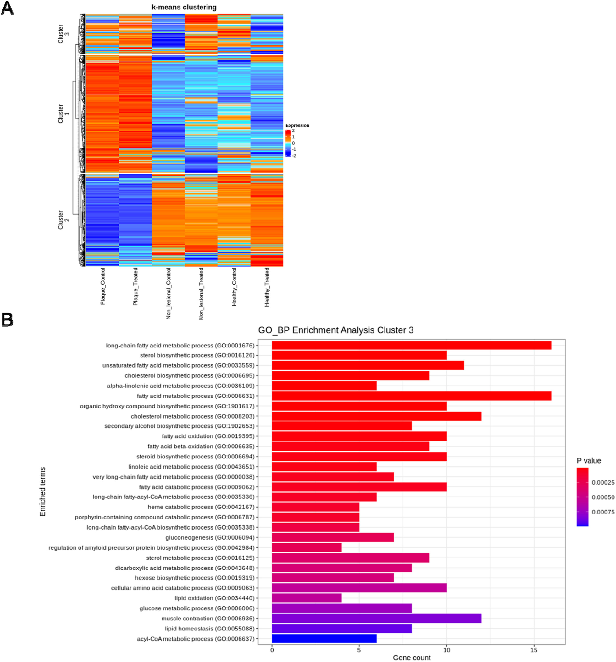 Vascular endothelial growth factor A inhibition remodels the transcriptional signature of lipid metabolism in psoriasis non-lesional skin in 12 h ex vivo culture