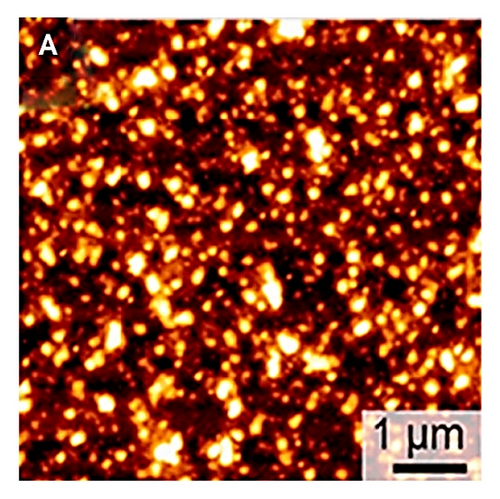 Details are in the caption following the image
