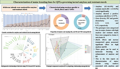 Characterization of Sub-Tropically Adapted Maize Breeding Lines for Loci Governing Kernel Amylose and Resistant Starch