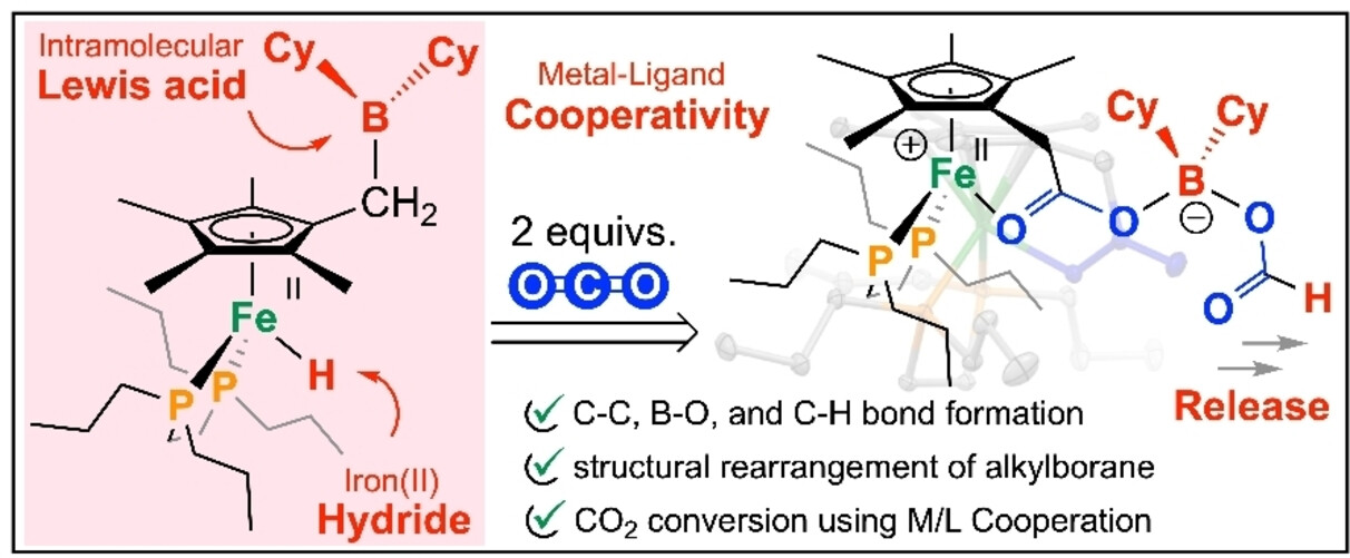 CO2 Reduction at a Borane-Modified Iron Complex: A Secondary Coordination Sphere Strategy