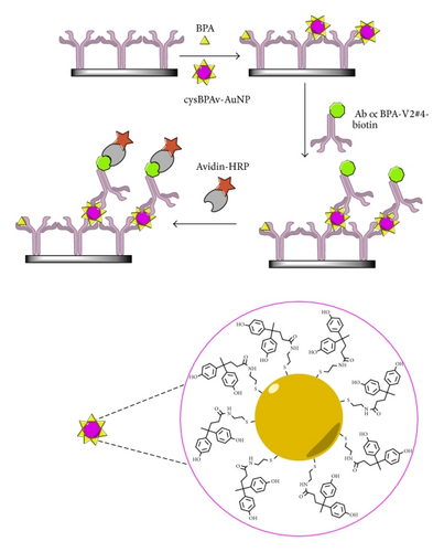 Details are in the caption following the image