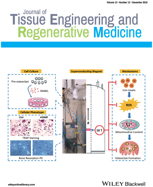 Cover Image Volume 13 Issue 12, 2019
