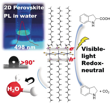 Hydrophobic Metal Halide Perovskites for Visible-Light Photoredox C−C Bond Cleavage and Dehydrogenation Catalysis