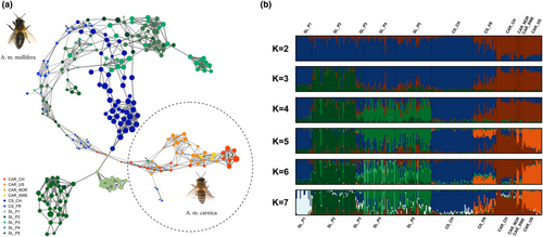 Details are in the caption following the image Details are in the caption following the image