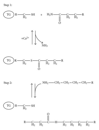 Details are in the caption following the image