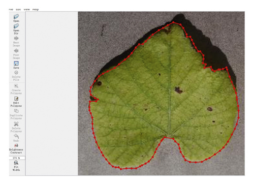 Details are in the caption following the image Details are in the caption following the image