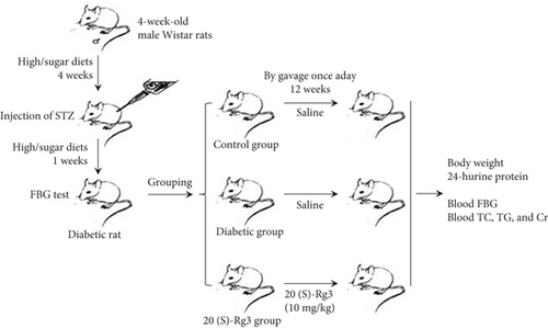 Details are in the caption following the image Details are in the caption following the image