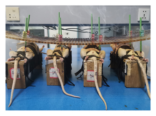 Details are in the caption following the image Details are in the caption following the image