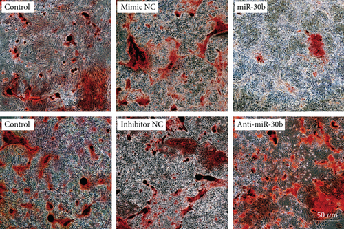 Details are in the caption following the image Details are in the caption following the image