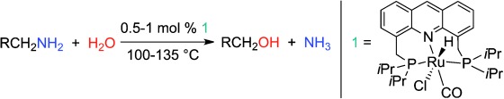Direct Deamination of Primary Amines by Water To Produce Alcohols
