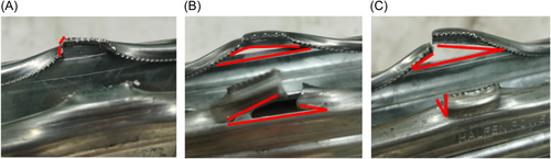 Details are in the caption following the image
