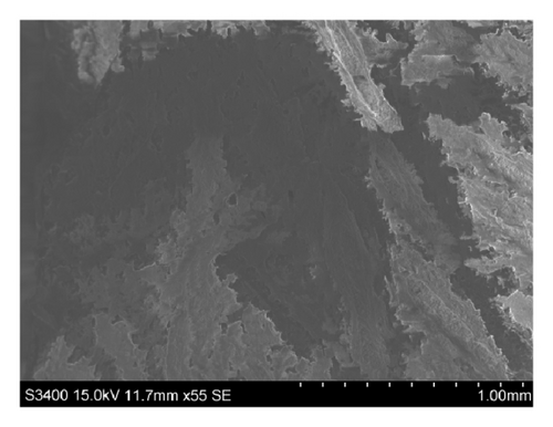 Details are in the caption following the image