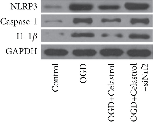 Details are in the caption following the image
