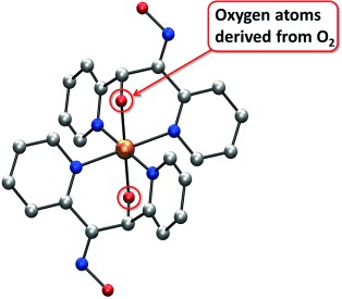 O2 Activation and Double C<span class='icomoon'></span>H Oxidation by a Mononuclear Manganese(II) Complex