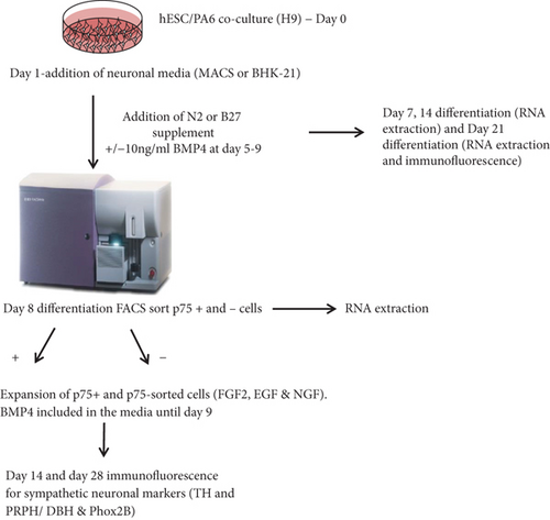 Details are in the caption following the image Details are in the caption following the image