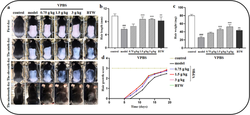 Details are in the caption following the image Details are in the caption following the image