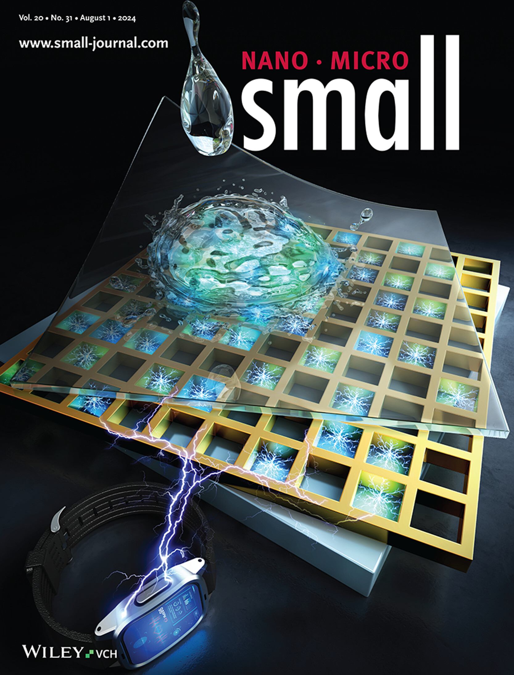 Switchable Power Generation in Triboelectric Nanogenerator Toward Chip-Less Wearable Power Module Applications (Small 31/2024) Volume 20 Issue 31, 2024