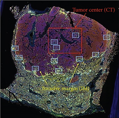 Details are in the caption following the image Details are in the caption following the image