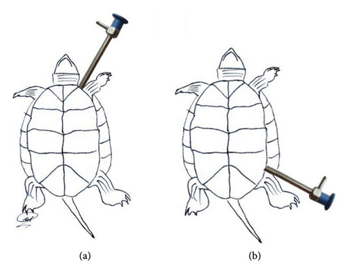 Details are in the caption following the image Details are in the caption following the image
