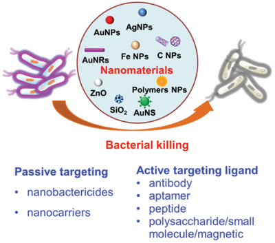 Recent advances in targeted antibacterial therapy basing on nanomaterials