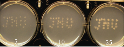 Details are in the caption following the image Details are in the caption following the image