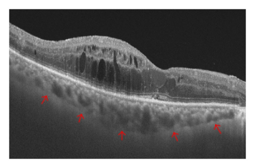 Details are in the caption following the image Details are in the caption following the image