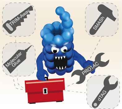Prey for the Proteasome: Targeted Protein Degradation—A Medicinal Chemist's Perspective