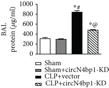 Details are in the caption following the image