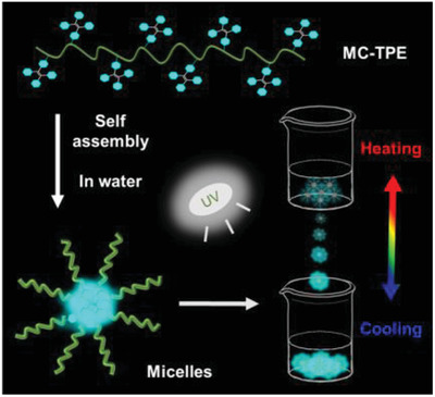 Synthesis and Fluorescent Thermoresponsive Properties of Tetraphenylethylene-Labeled Methylcellulose