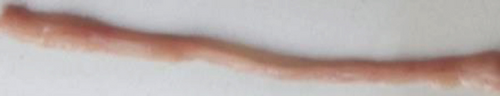 Details are in the caption following the image