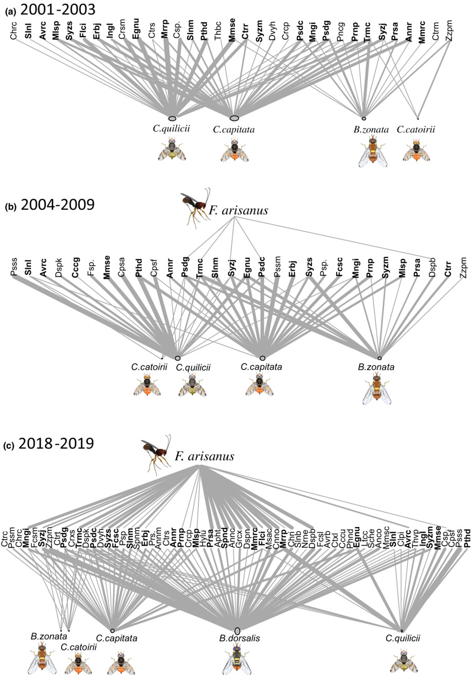 Tri-trophic interactions among Fopius arisanus, Tephritid species and host plants suggest apparent competition