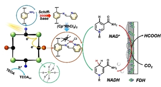 Bioinspired Metalation of the Metal-Organic Framework MIL-125-NH2 for Photocatalytic NADH Regeneration and Gas-Liquid-Solid Three-Phase Enzymatic CO2 Reduction