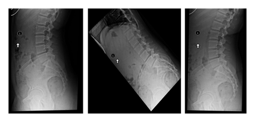 Details are in the caption following the image Details are in the caption following the image