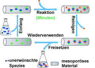 Highly Efficient Solid-Phase Labeling of Saccharides within Boronic Acid Functionalized Mesoporous Silica Nanoparticles