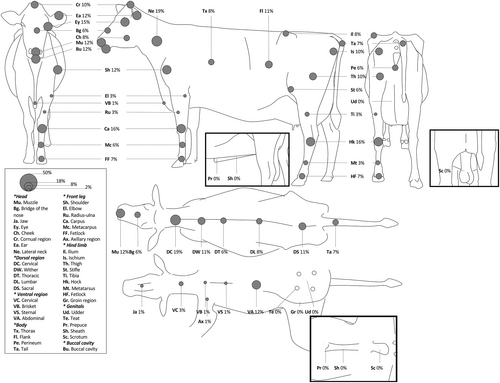 Details are in the caption following the image Details are in the caption following the image