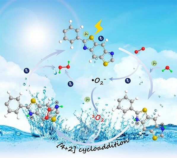 Promoting Solar-driven Hydrogen Peroxide Production over Thiazole-based Conjugated Polymers via Generating and Converting Singlet Oxygen